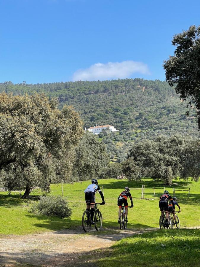 Monte Dos Pensamentos - Turismo Rural Estremoz Εξωτερικό φωτογραφία